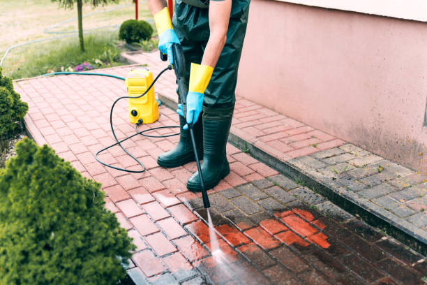 Fence Pressure Washing